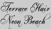 logo of Terrace Hair / Neon Beach